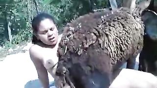 Women having sex with sheep--_short_preview.mp4
